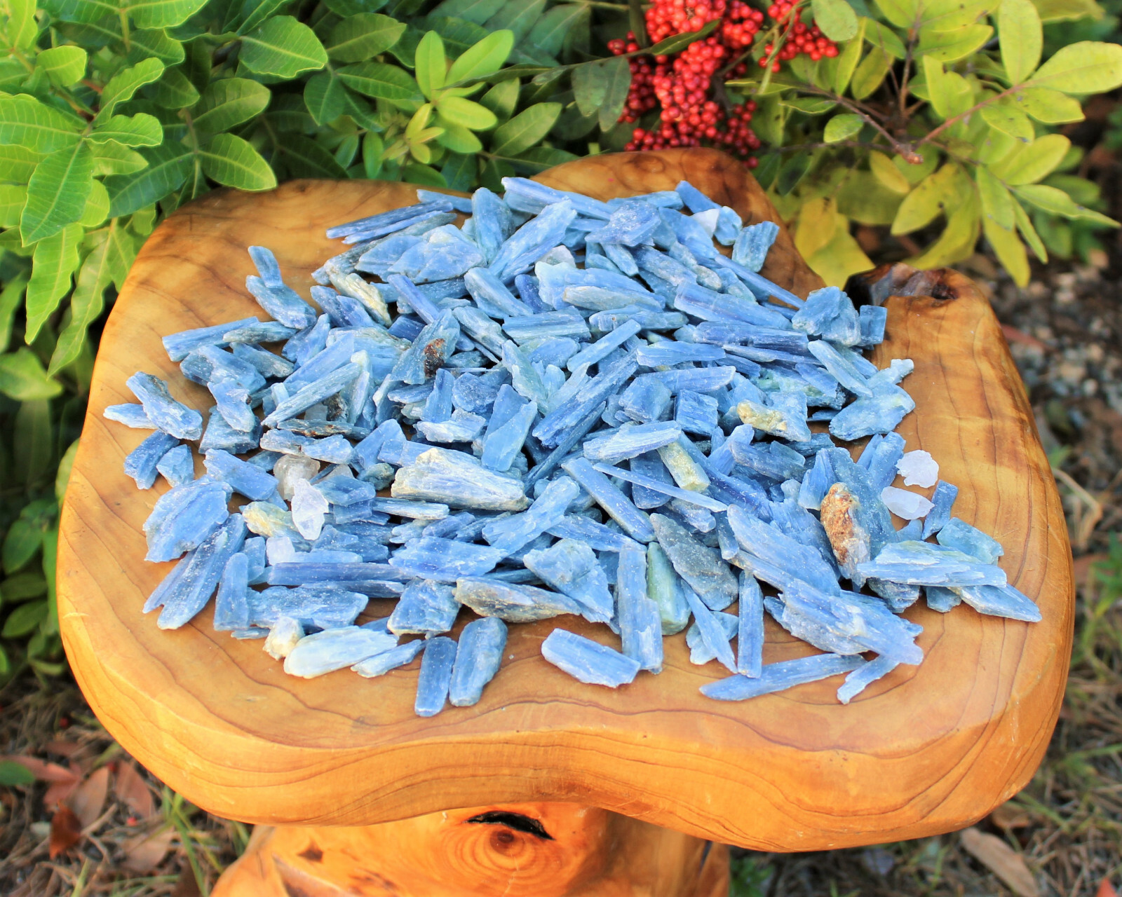 Lot of 3 Blue Kyanite Blades 1″ – 1.5″ (Crystal Rough Natural)