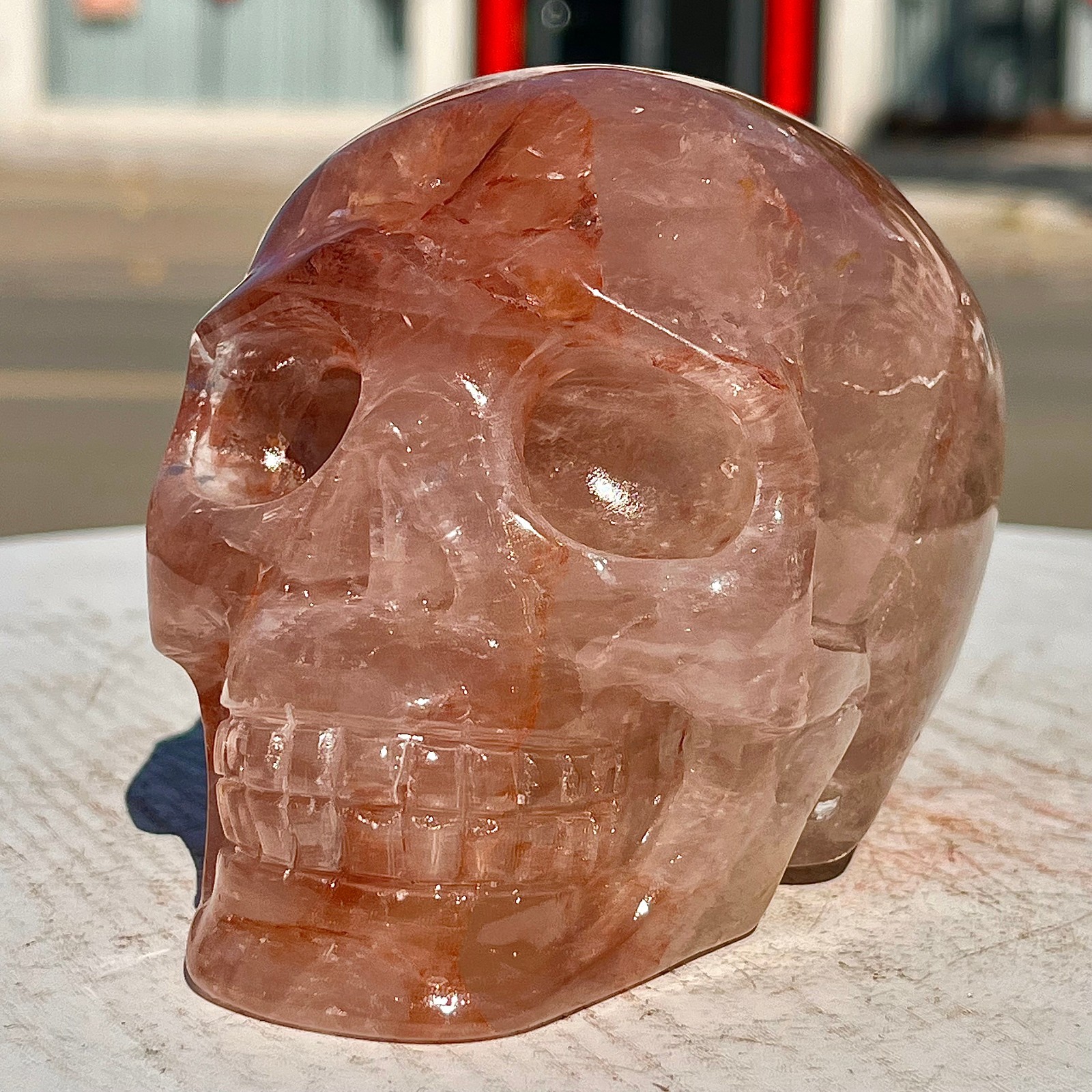 2.38LB Hand carved Red Gum Flower Skull | Used for decoration or gifts
