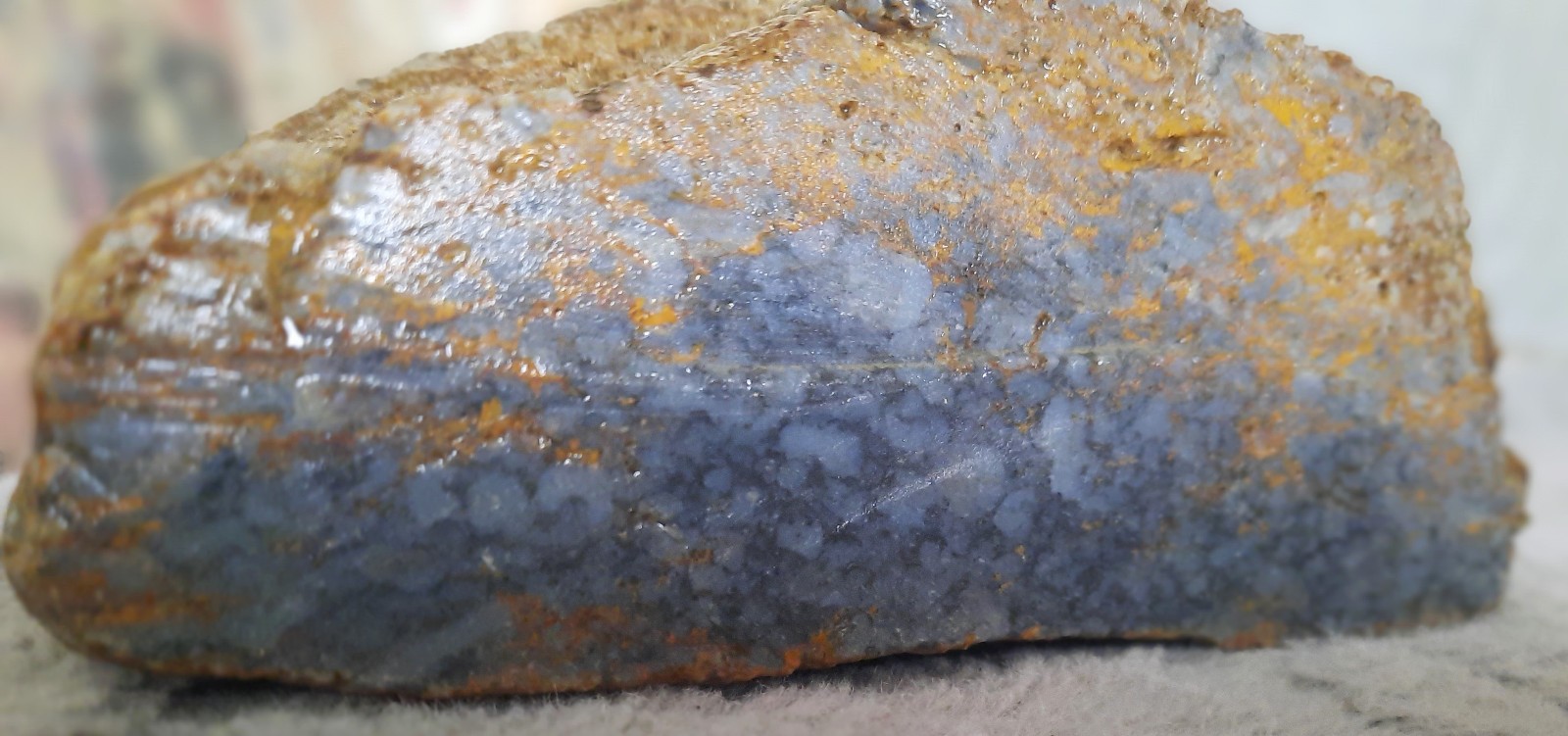 Blue Agatized Criniod Stems Bedrock from Southern Kentucky. 4355 Carats