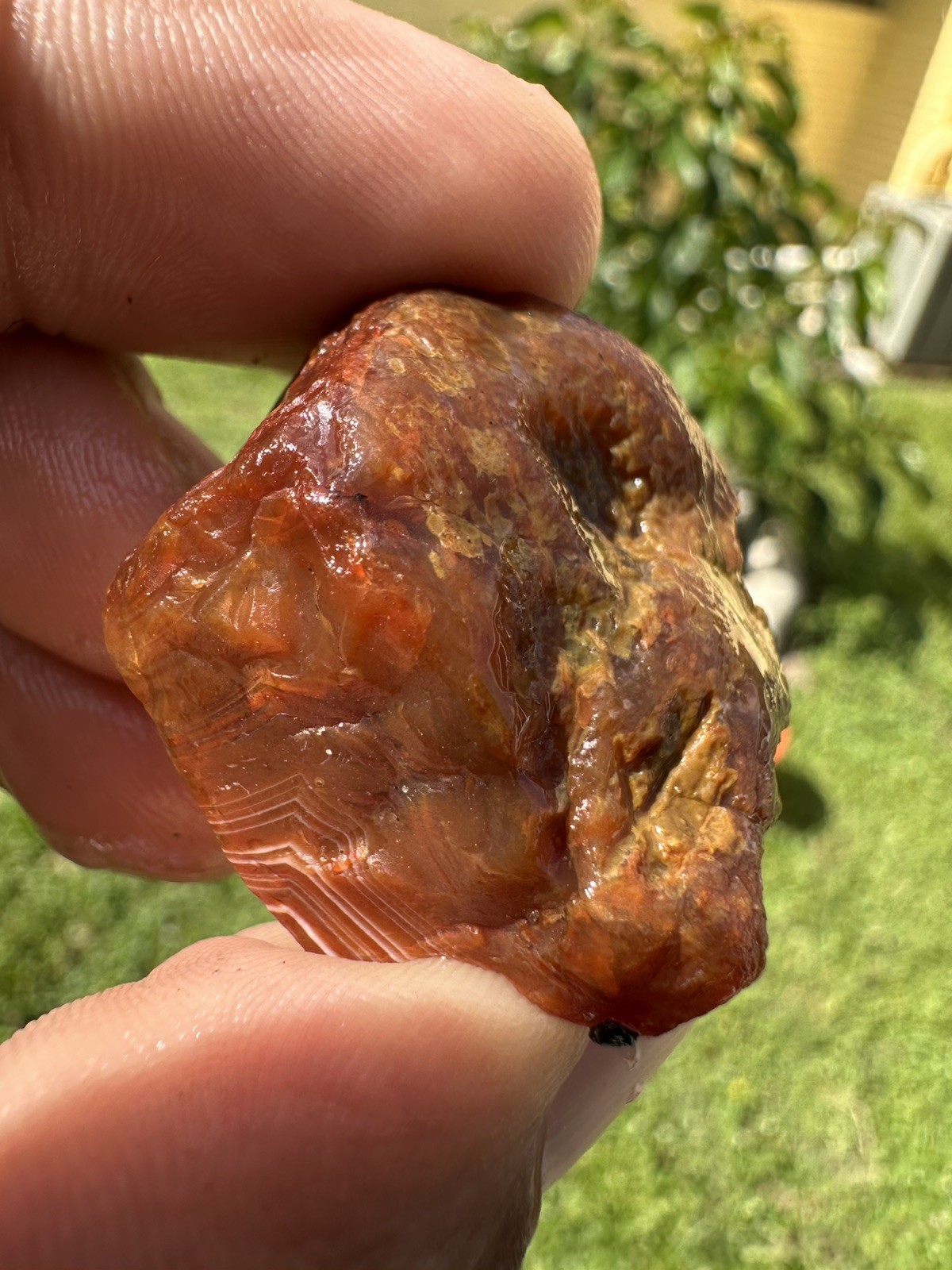 3.65 oz Lake Superior Agate Lapidary Lot 5 Multicolor Beauty’s