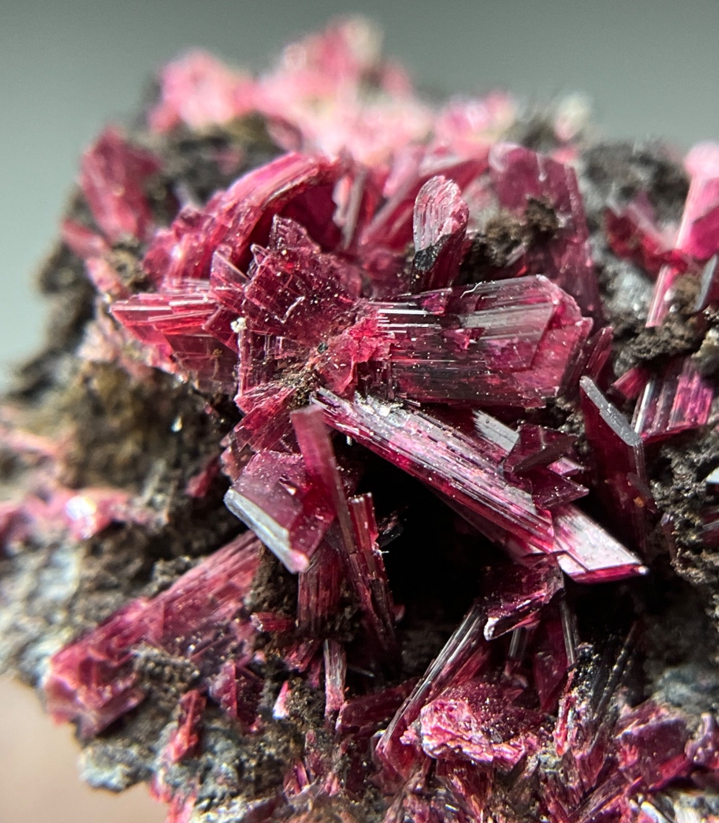 OUTSTANDING ERYTHRITE CRYSTALS FROM BOU AZZER MINE, MOROCCO