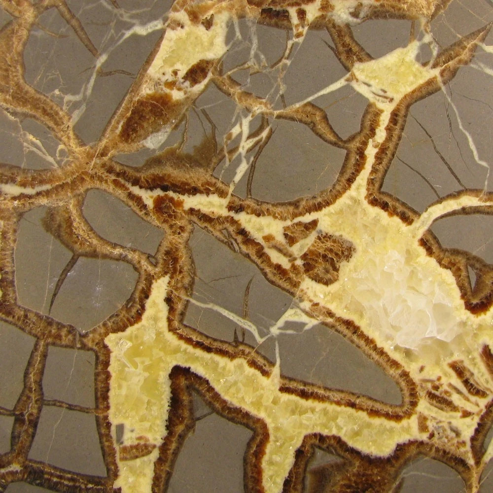 6″ Polished SEPTARIAN GEODE End Slab – Utah – 1.7 lbs.