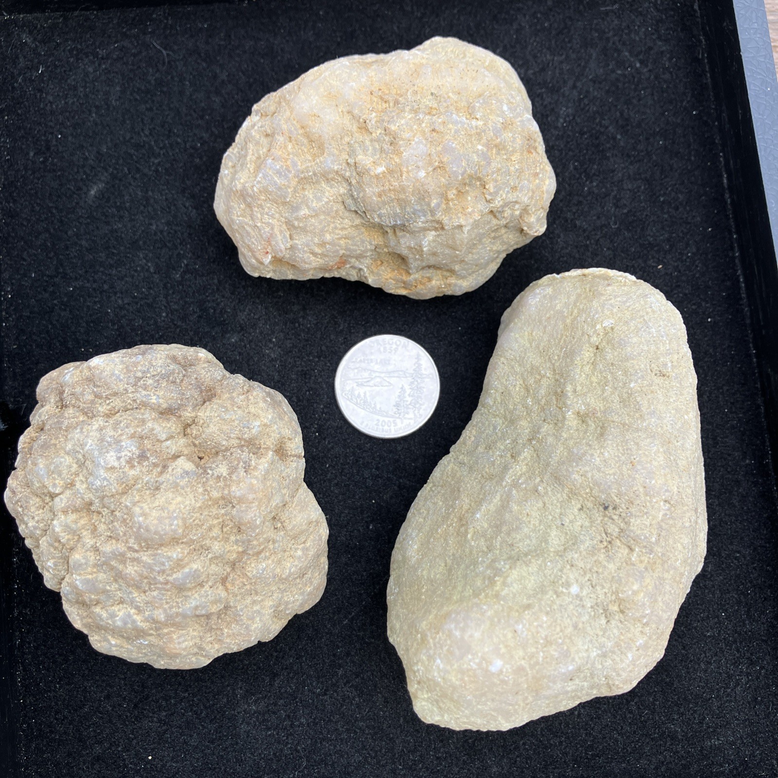 Three Unopened Indiana Geodes Crack Your Own! Fossils Minerals Educational Fun