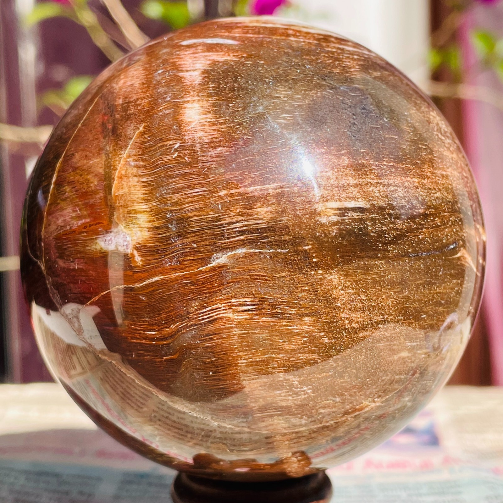 640g Natural Red Petrified Wood Crystal Ball Fossil Polished Sphere Specimen