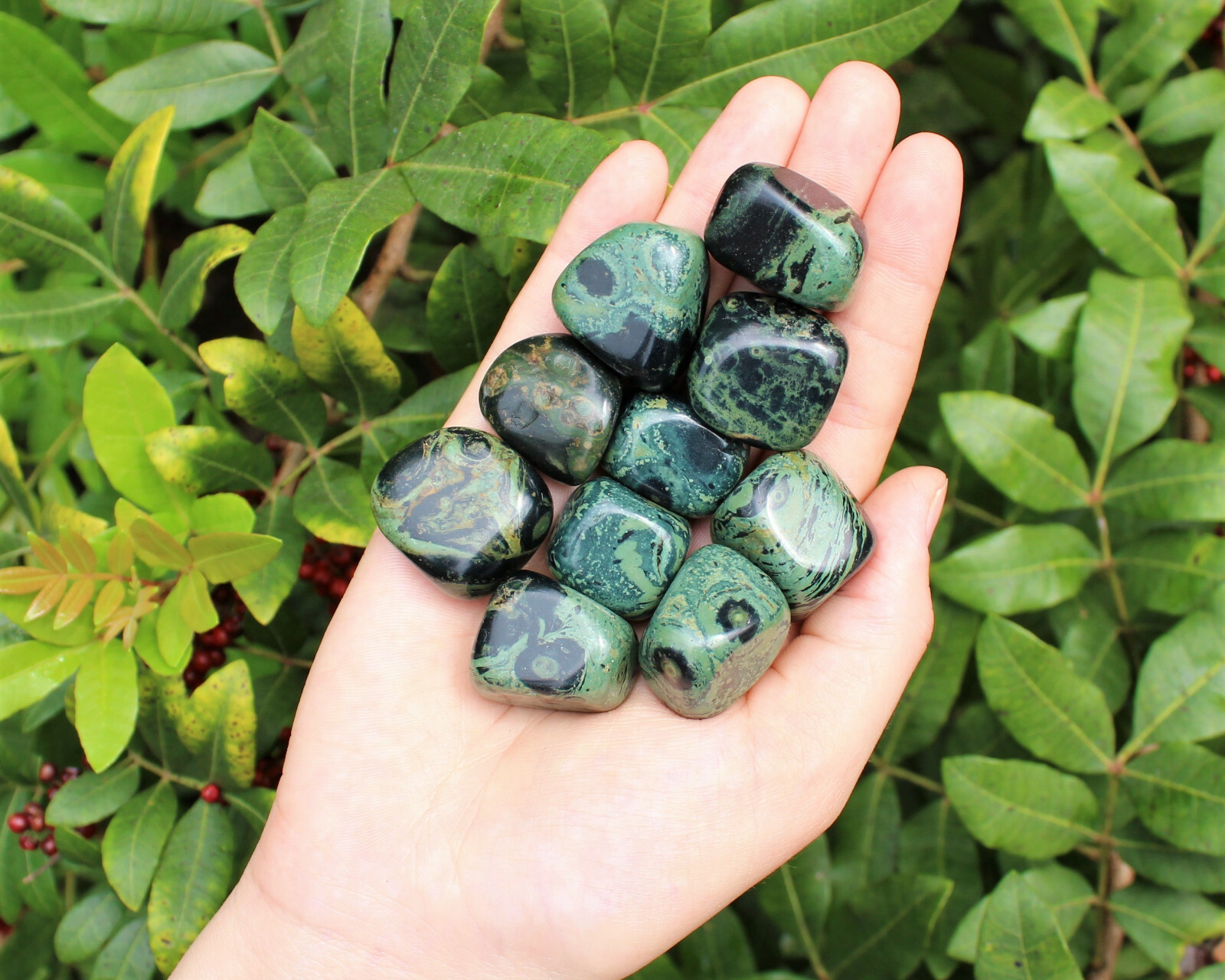 1/4 lb Bulk Lot Kambaba Jasper Tumbled Stone (Crocodile Jasper) 4 oz