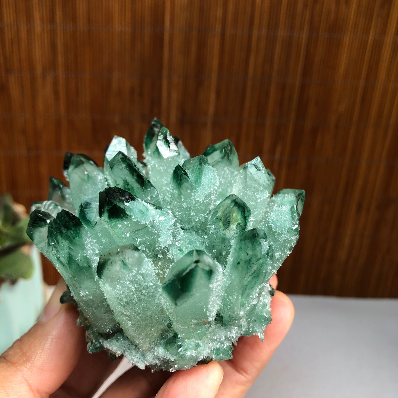 New Find Green Phantom Quartz Crystal Cluster Mineral Specimen 224g A1491