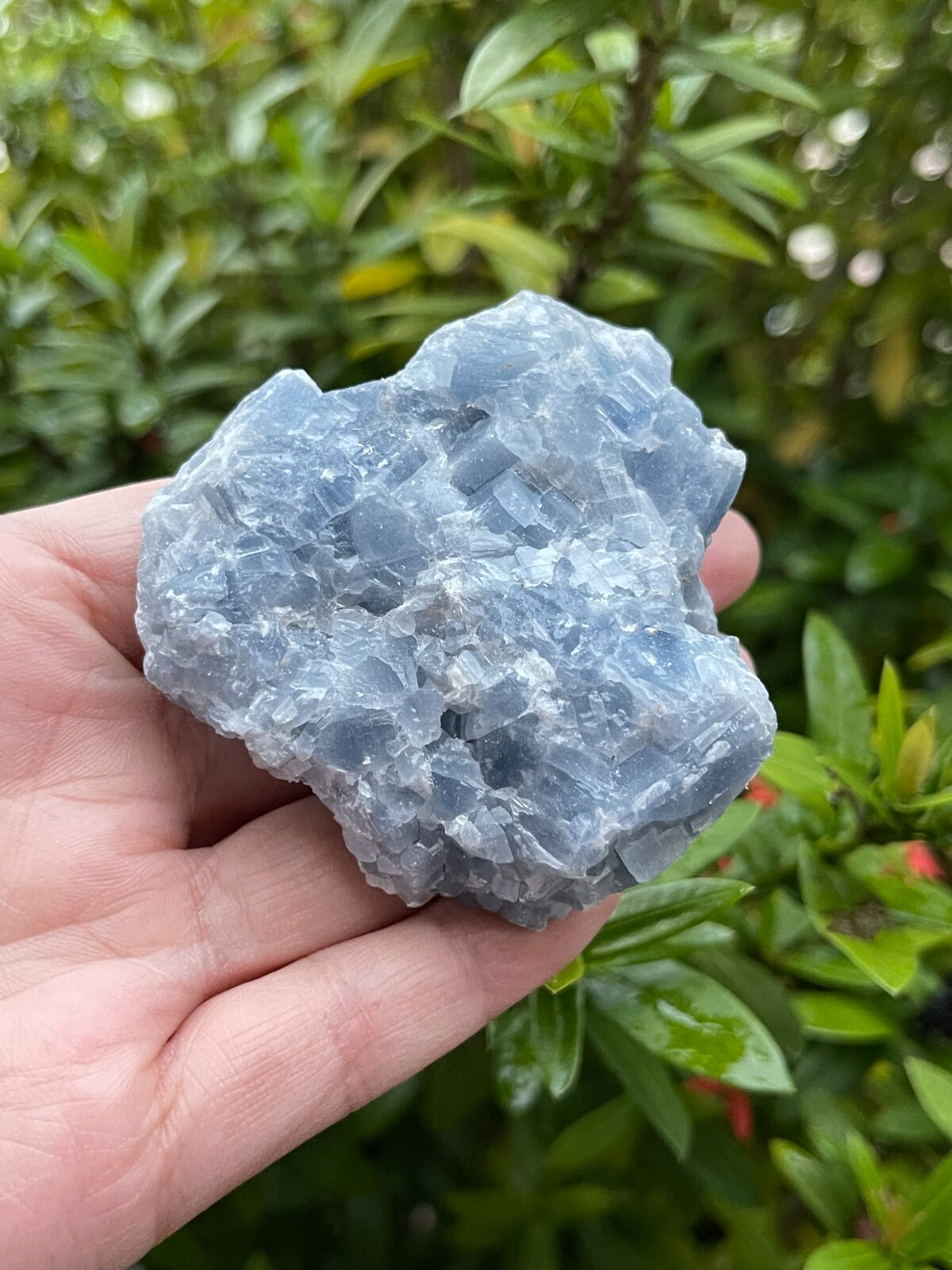 Grade A+ Large Blue Calcite Rough Natural, 2-3″ Blue Calcite, Wholesale Bulk Lot