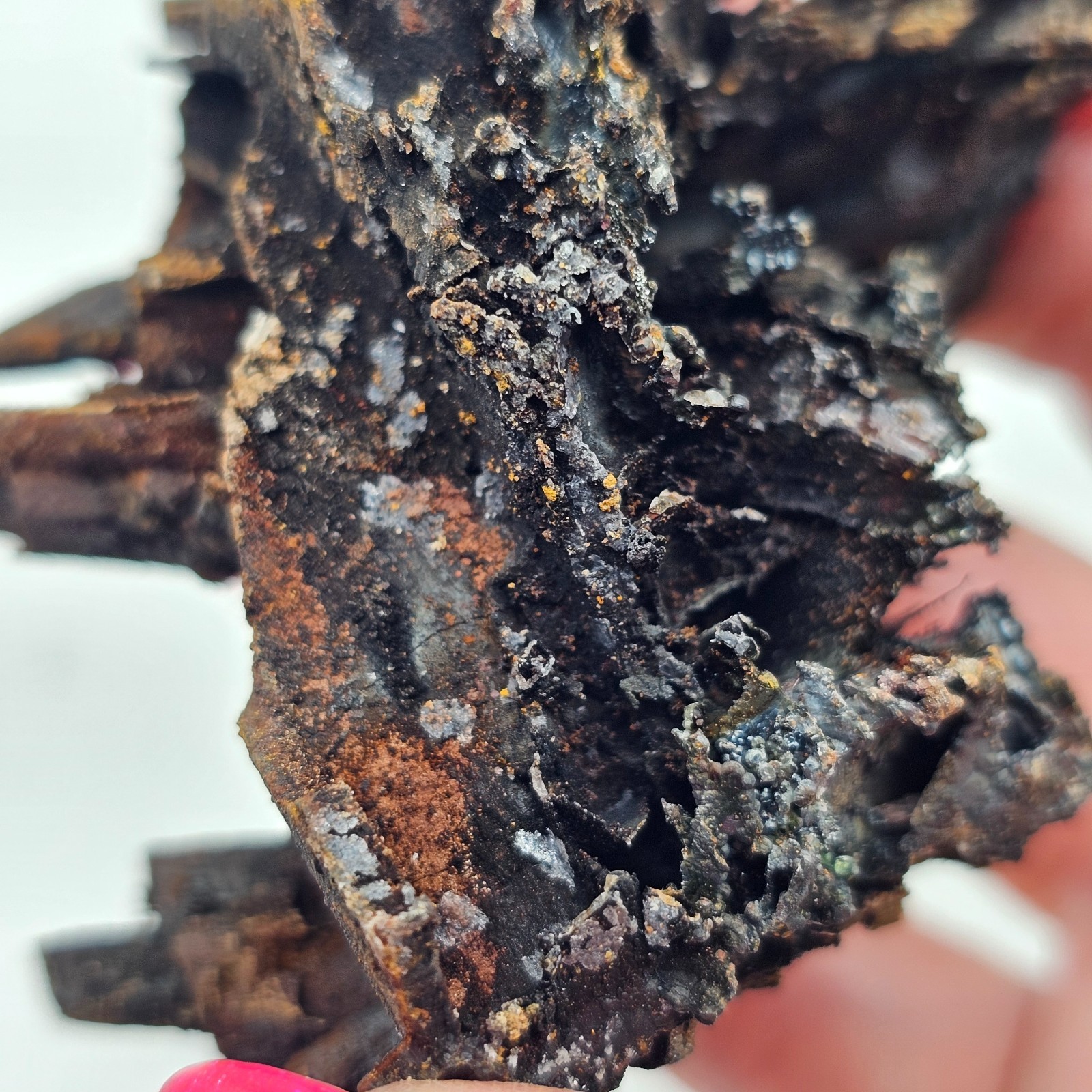 Goethite and Limonite Epimorphs of Gypsum Selenite Santa Eulalia, Mexico