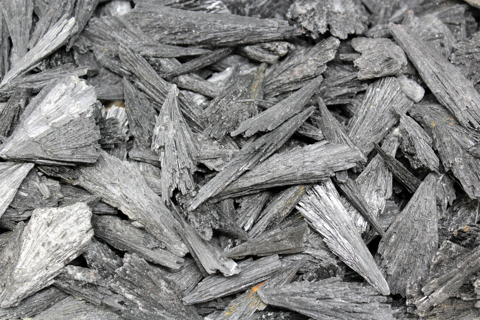 1/2 lb Black Kyanite Blades Fans: Premium Quality Wholesale Bulk Lot 8 oz