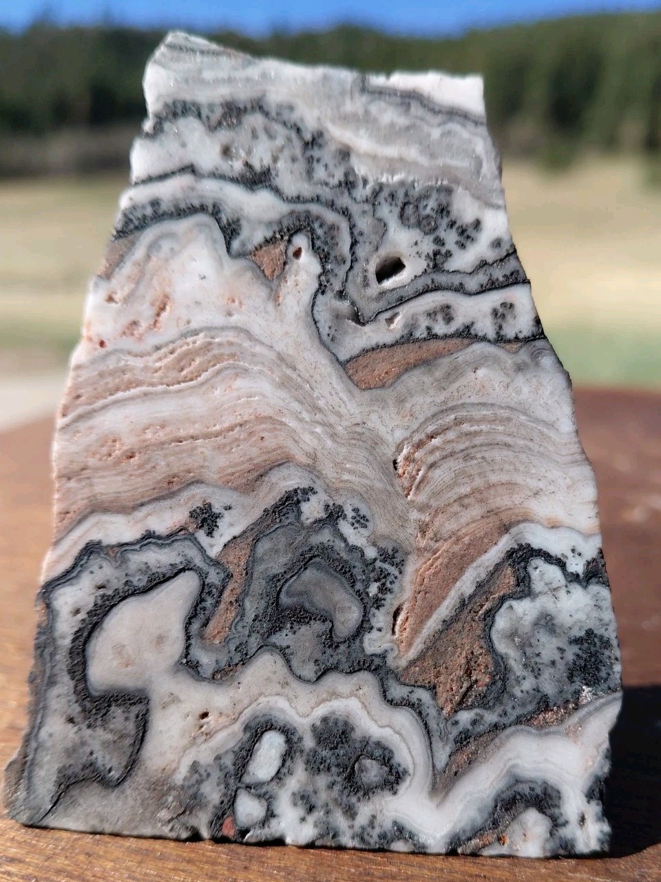 Zebra Calcite Self-Standing “Wedge” Dspl UV Psychedelic Wavey Band 3x 2 1/2″