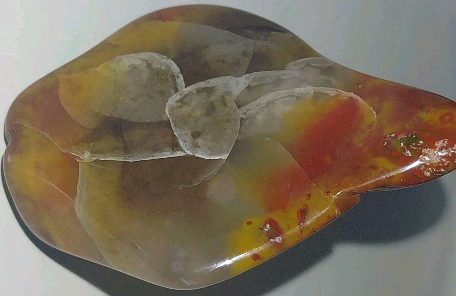 Polished Yellow Cat UV+ Agatized Petrified Wood Limb Cast Mineralization @ Depth