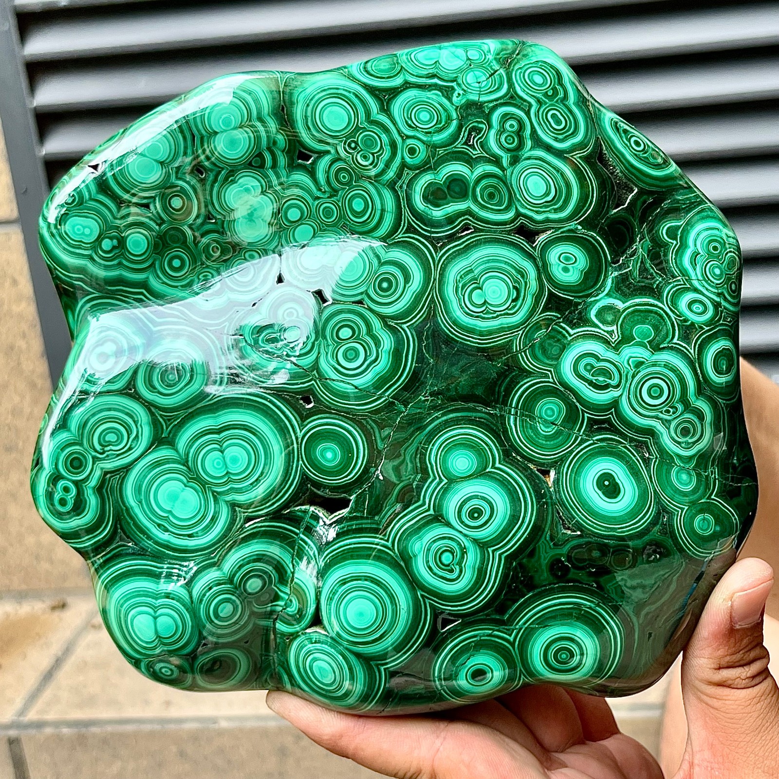 Natural Malachite Stone Polished Slab Bull Eye Pattern Display Decor 7.1 lb