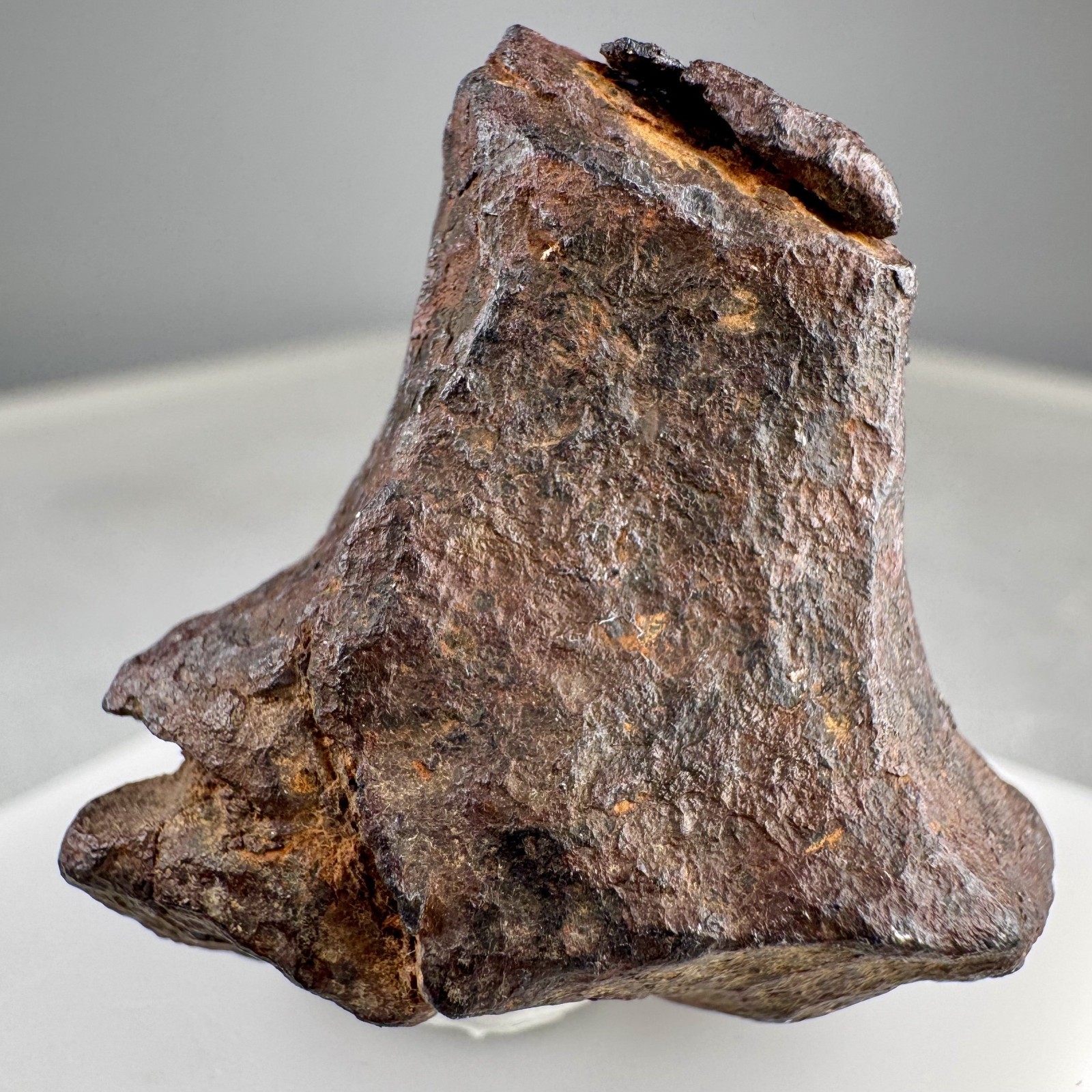 Iron Meteorite: Mundrabilla meteorite, Mundrabilla Roadhouse, Australia