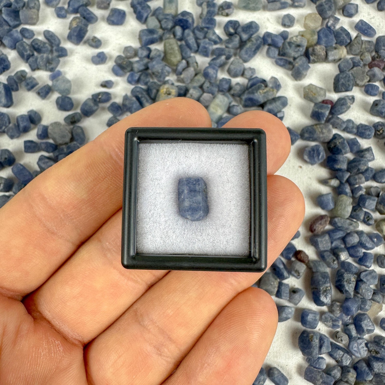 Natural Raw Blue Sapphire Crystal / Prosperity / Astrology