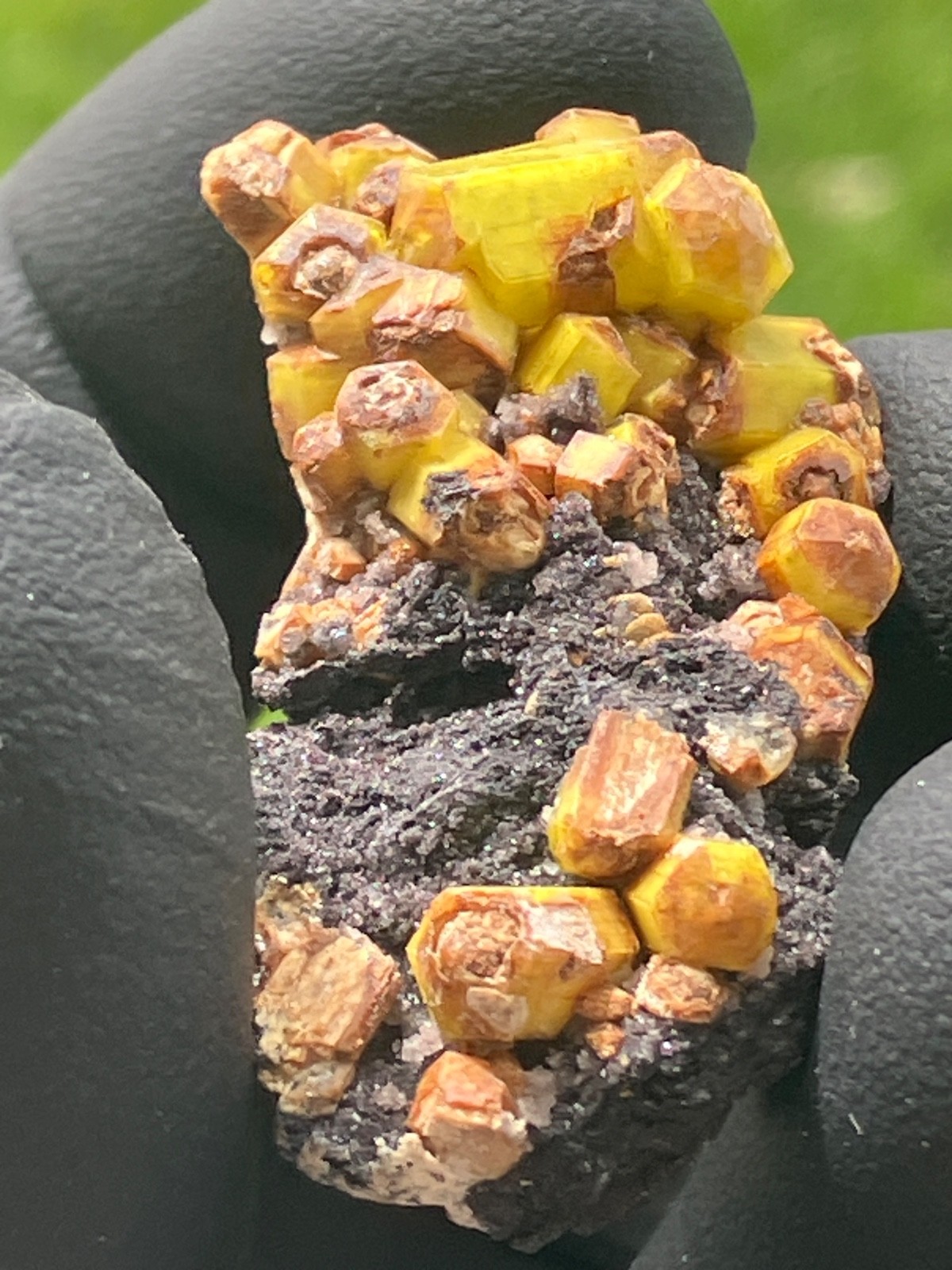 Rare Ettringite bright lemon yellow crystsls Famous N’Chwaning II Mine S. Africa