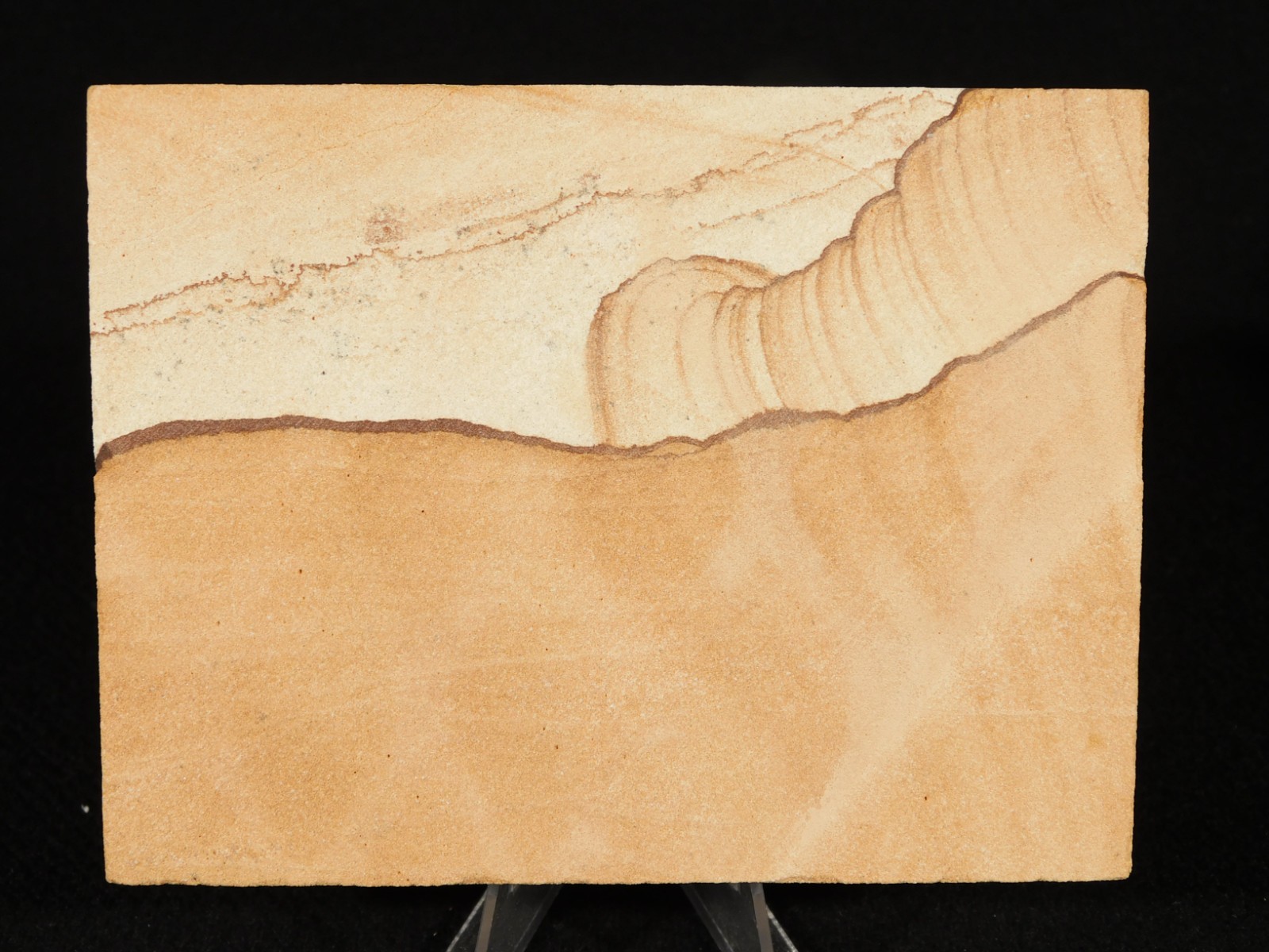 PICTURE Stone or SANDSTONE Slab with Display Stand From Utah 260gr
