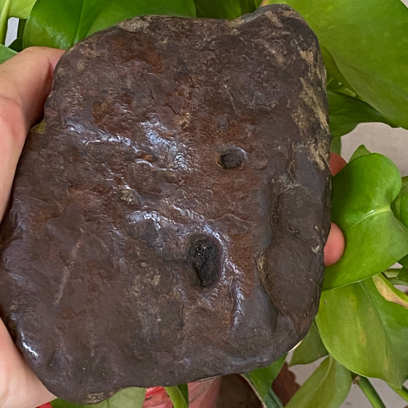 1357g Natural Iron Meteorite Specimen from China W380