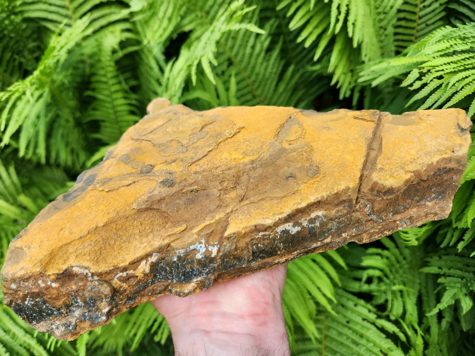 5 lb 11 oz Rough Blue Tiger’s Eye Stone. Ideal for Lapidary. Luminescent