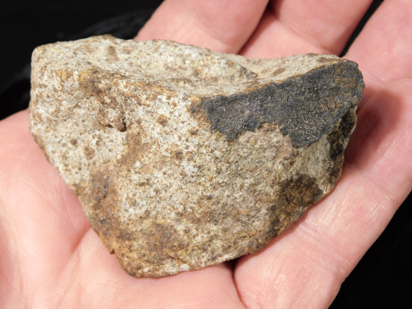 Classified NWA 8245 METEORITE 100% Natural Erfoud, Morocco 147gr
