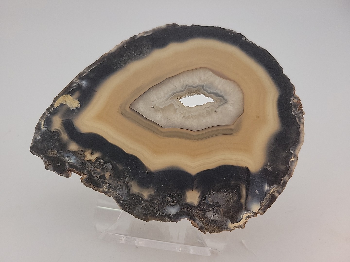 Carnelian Agate Slab Slice Geode~Quartz Center~4oz Opaque Blk Golds GORGEOUS!