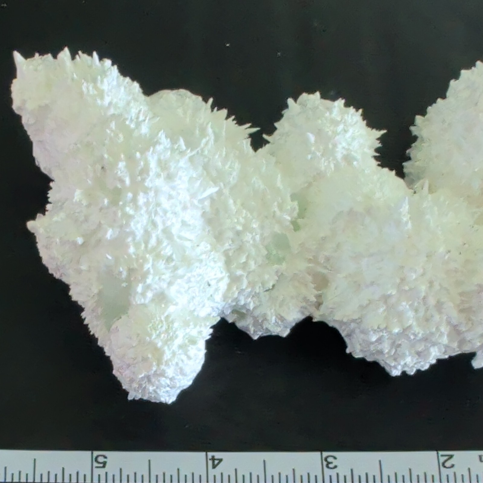 Aragonite Crystal Cluster Mineral Display 6 in Cave Calcite/Sugar Apophyllite