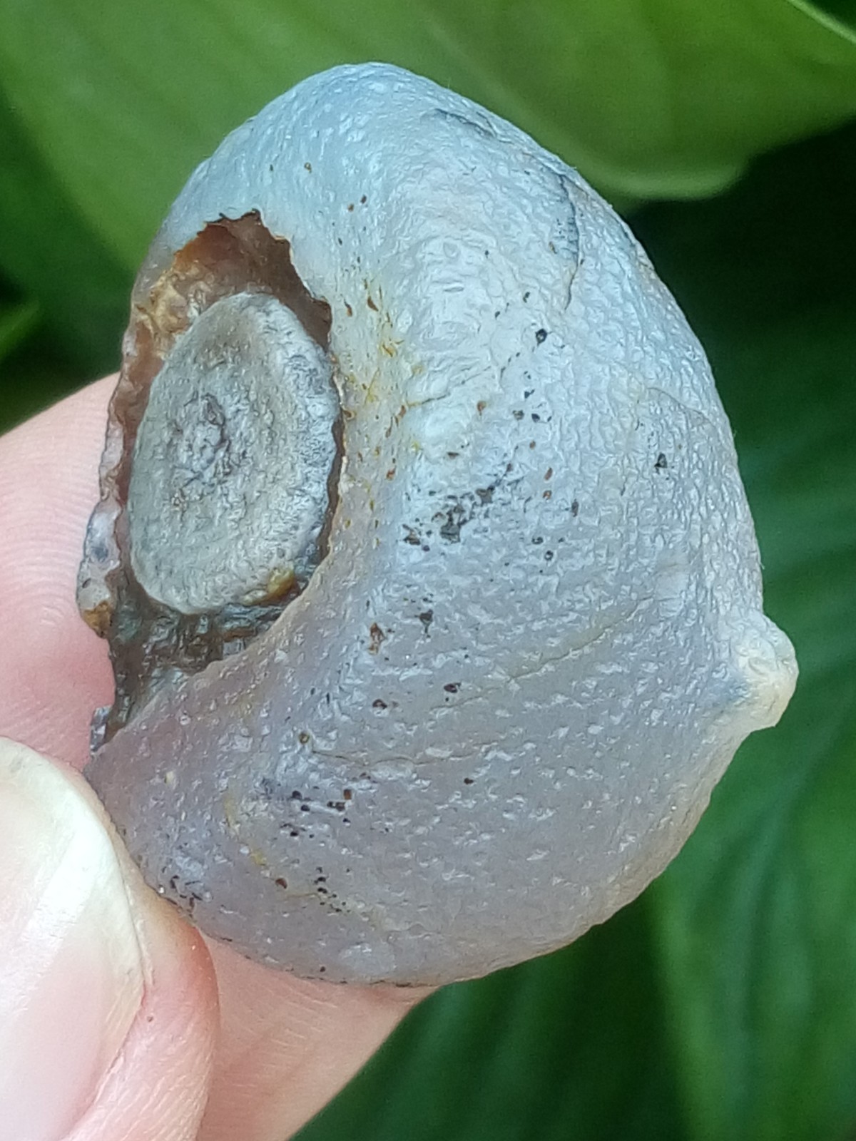 36mm Beautiful Natural Gobi agate eye agate stone collection