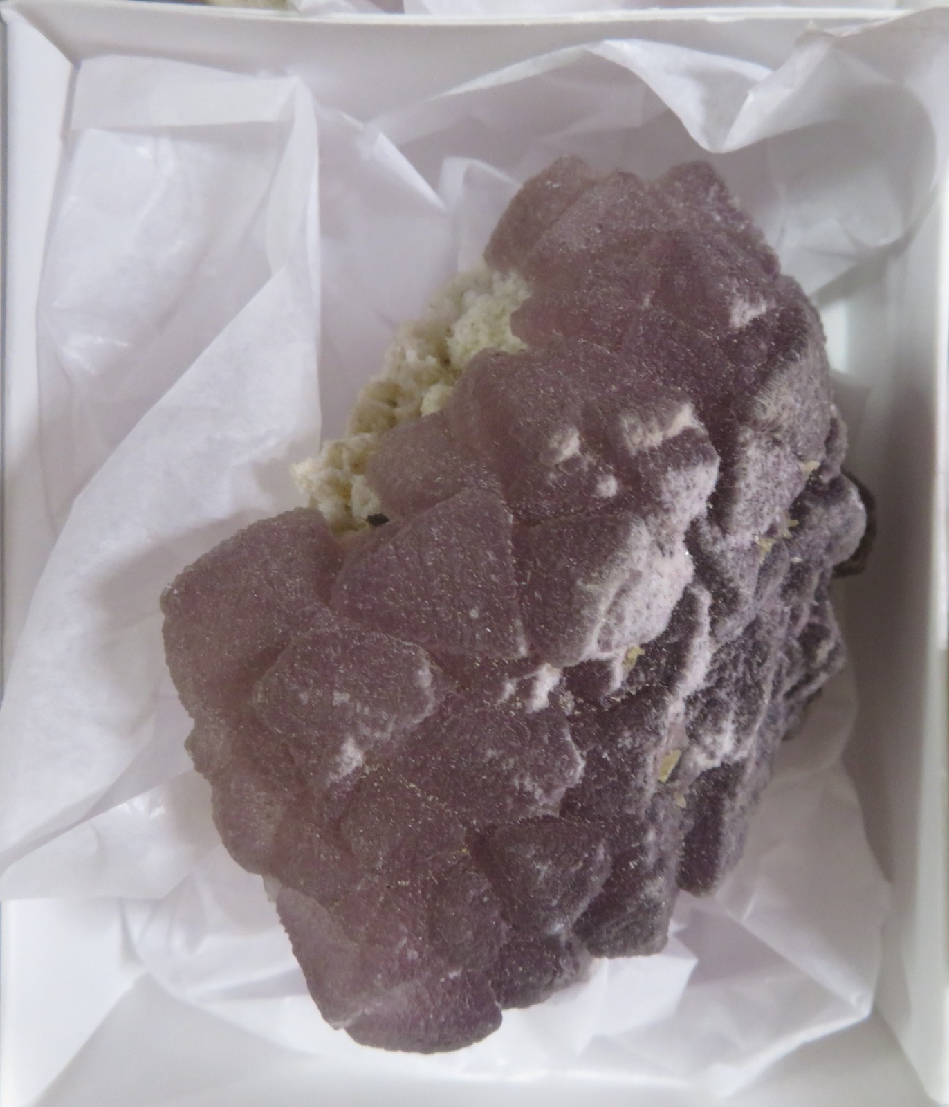 6 Piece Deep Purple Fluorite on Quartz Specimen Flat La Lupita Durango Mexico