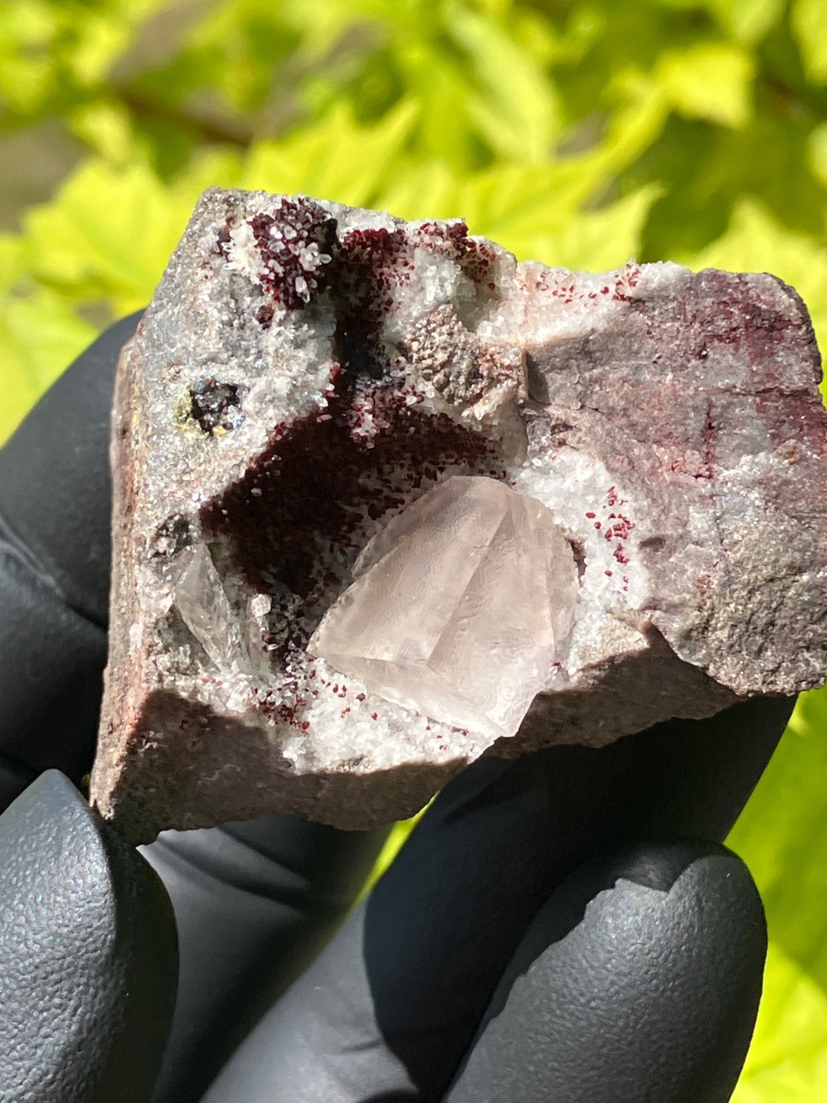 Fluorite “Red Pocket” 2007-2008 “Rare” U.V. Ojuela Mine, Mapimi, Durango, Mexico