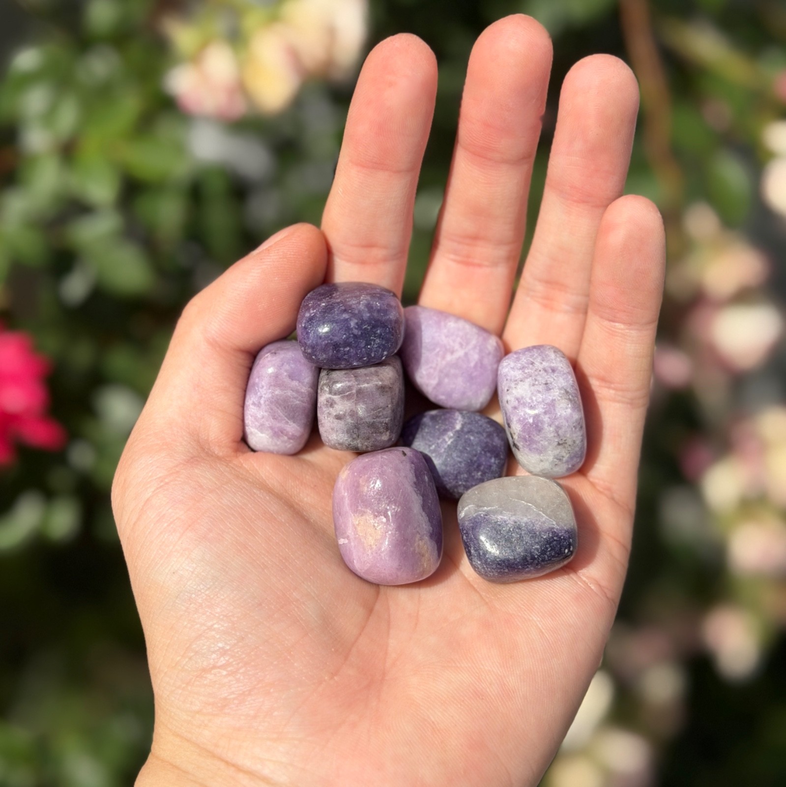 Wholesale Lot – 2 lbs Natural Lepidolite Tumble Crystals Healing Energy