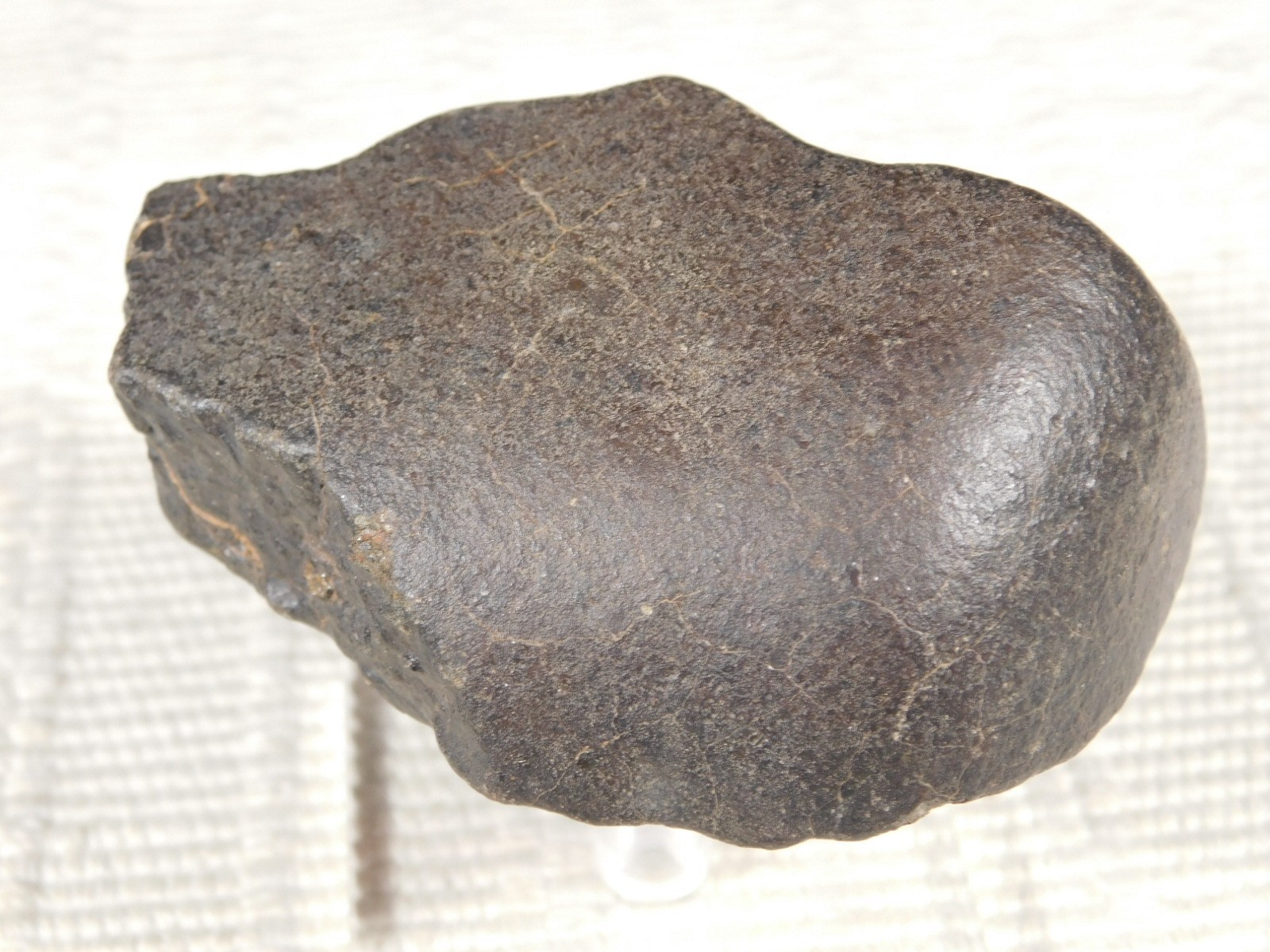 wOw! Larger! Stony METEORITE with DARK Silky Fusion Crust! FELL in Libya 219gr