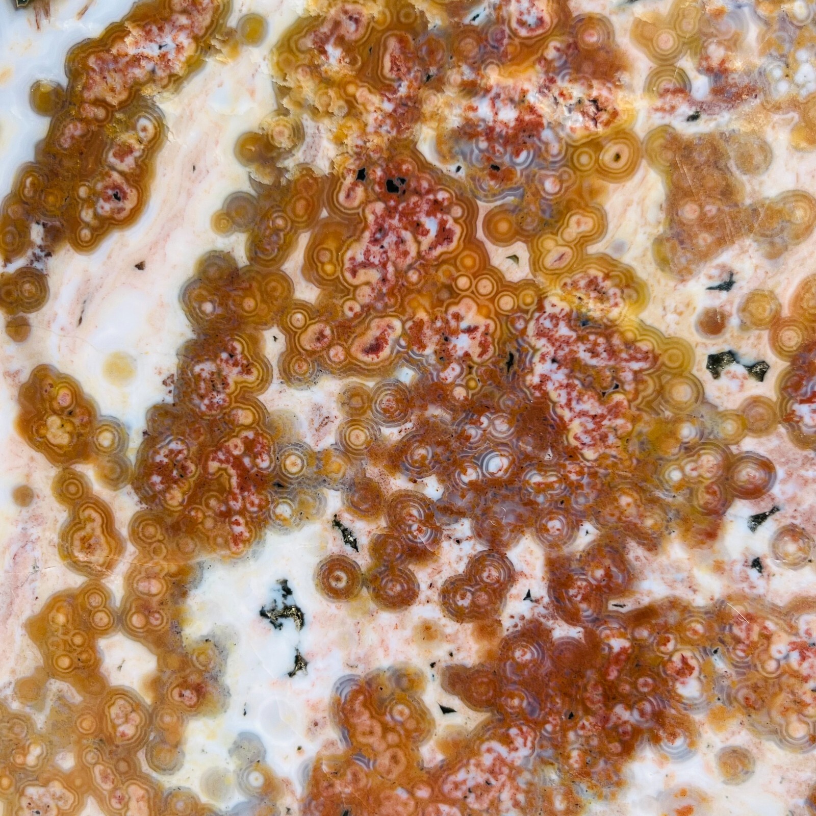3.75LB Rare Natural The 8th Vein Ocean Jasper Slab Quartz Crystal Reiki Healing