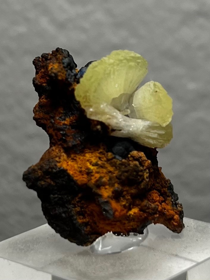 adaminte on limonite matrix ex. Rock Currier no. 146