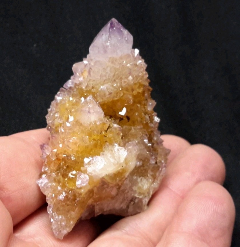 2″ CACTUS QUARTZ AMETHYST AMETRINE from Mpumalanga, South Africa