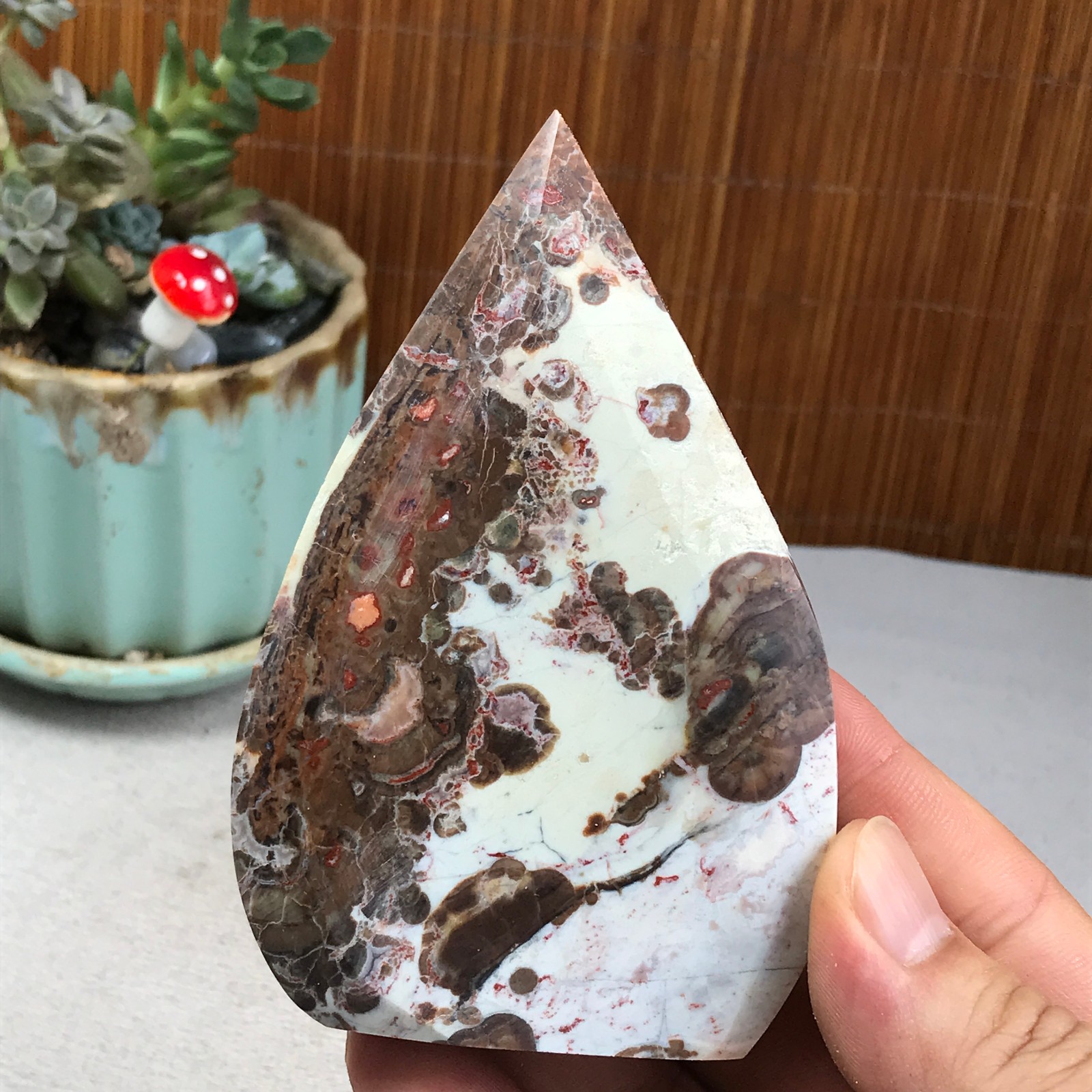 Natural money Mexico agate hand carve leaf Crystal Specimen free standing A6272