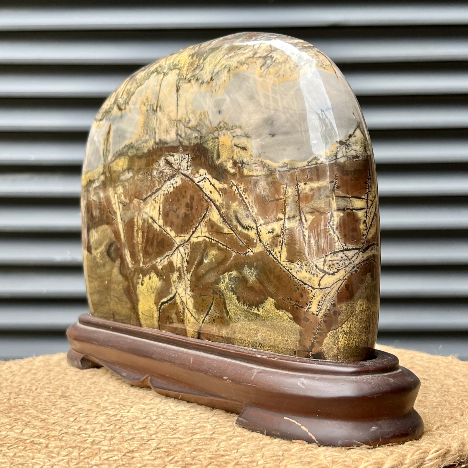 6.2 lb Natural Scenic Stone Display Polished Pattern Art w/ Wood Stand