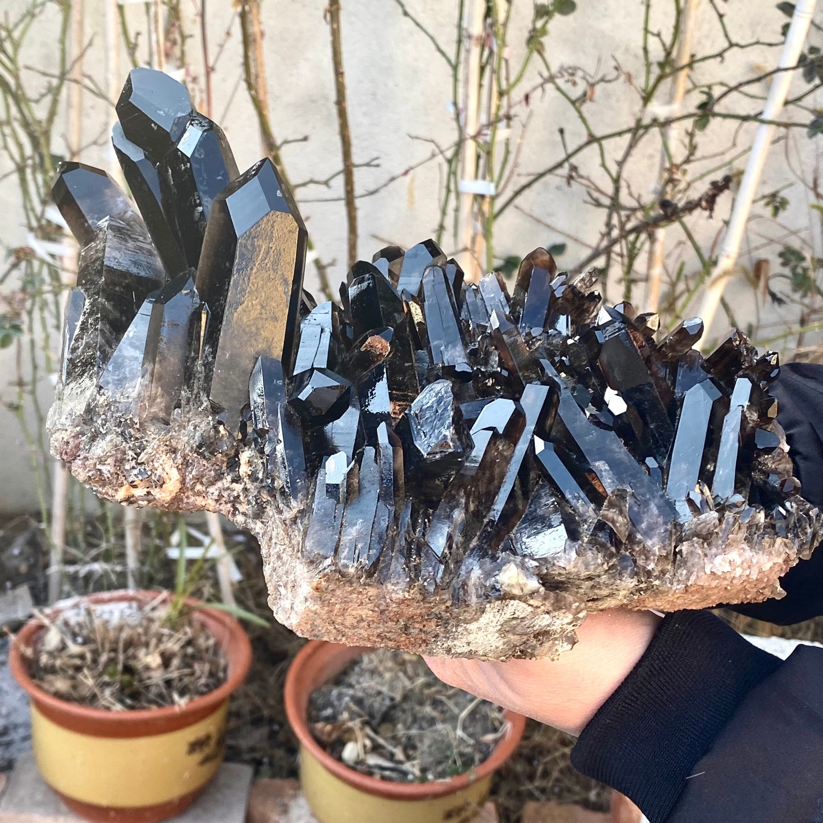 5.25LB Large Natural black Quartz Crystal Cluster Rough Specimen Healing Stone.