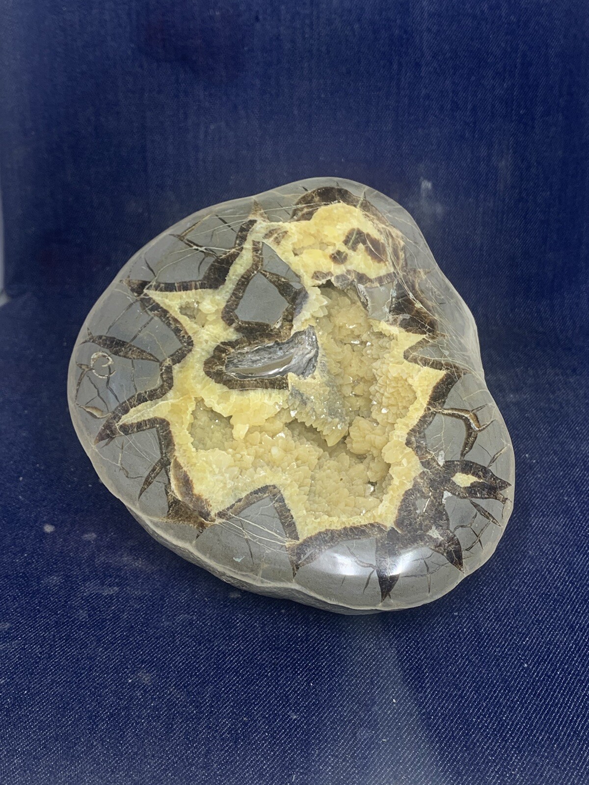 Septarian Nodule Hollow Half ( Utah)fossils And Description Card