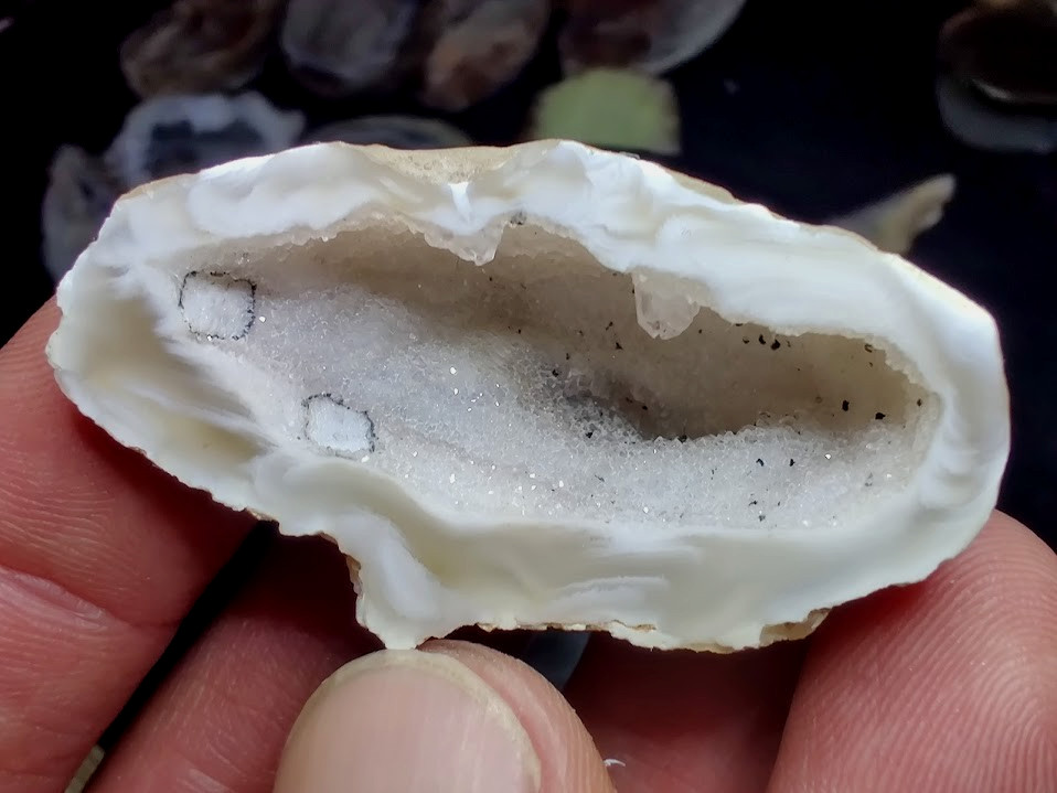 GORGEOUS Oco Geode Agate Half #14 – Exact Specimens, No Bulk! Collector-Quality