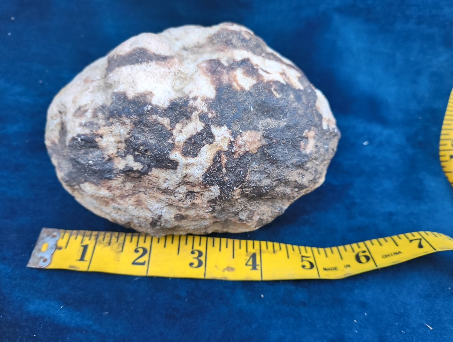Large Kentucky Geode 3–5 inch – Crack Open Giant Quartz Crystal Rock – Authentic