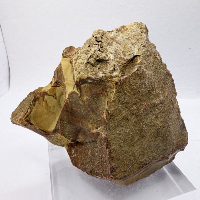 OWYHEE Picture Jasper End Cut Polished Display Stone Oregon USA