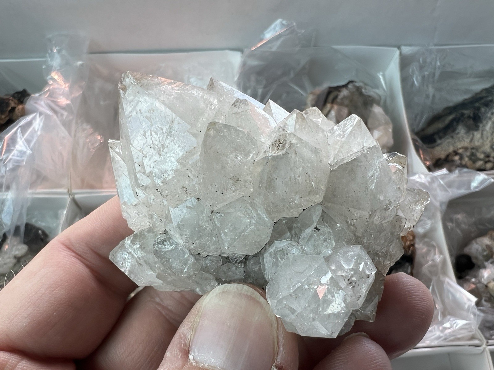 12 Quartz & Siderite Specimens – Potosí Mine, Santa Eulalia, Chihuahua, Mexico