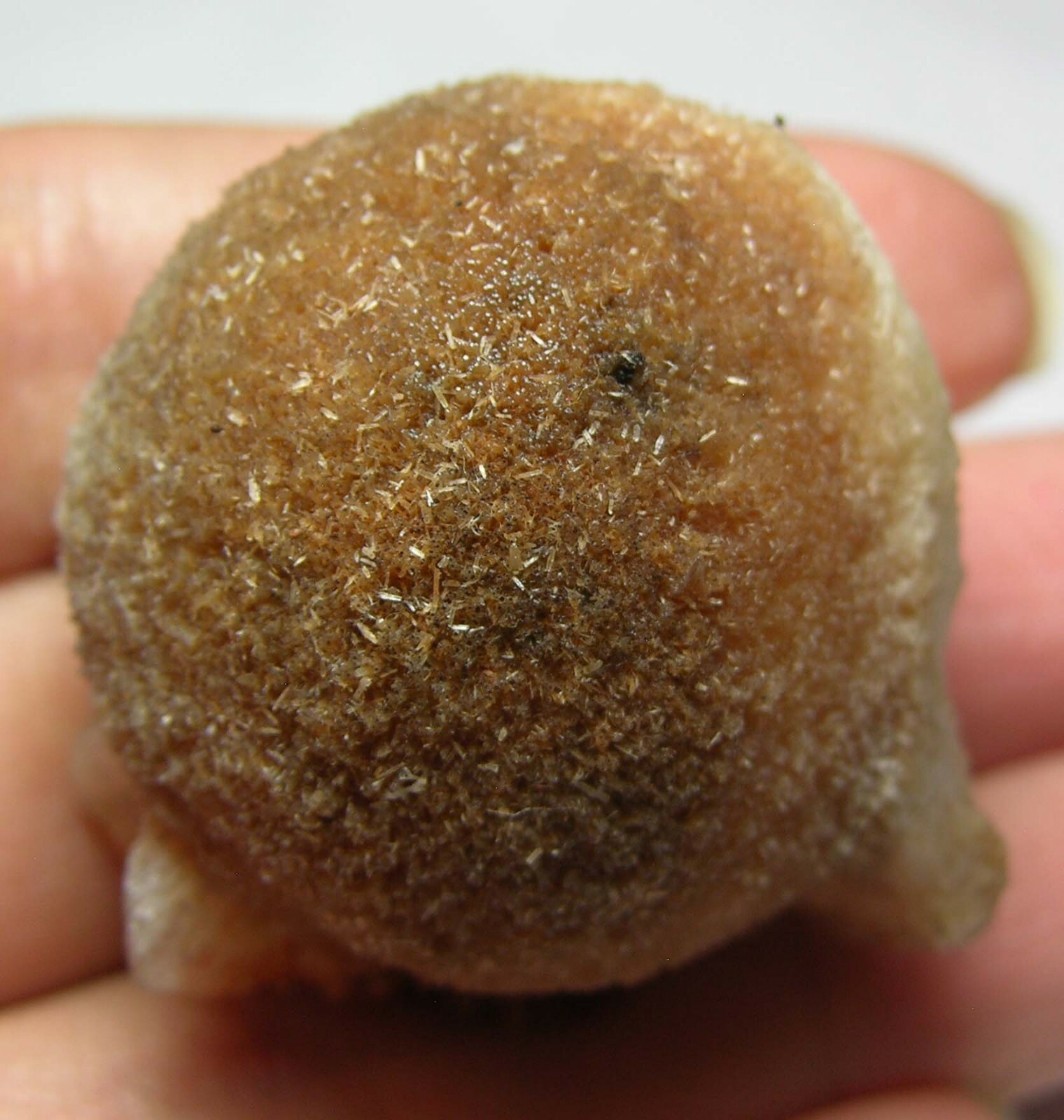 #8 India 1 1/2 in Brown Thomsonite Crystal With Stilbite Specimen 38.00mm