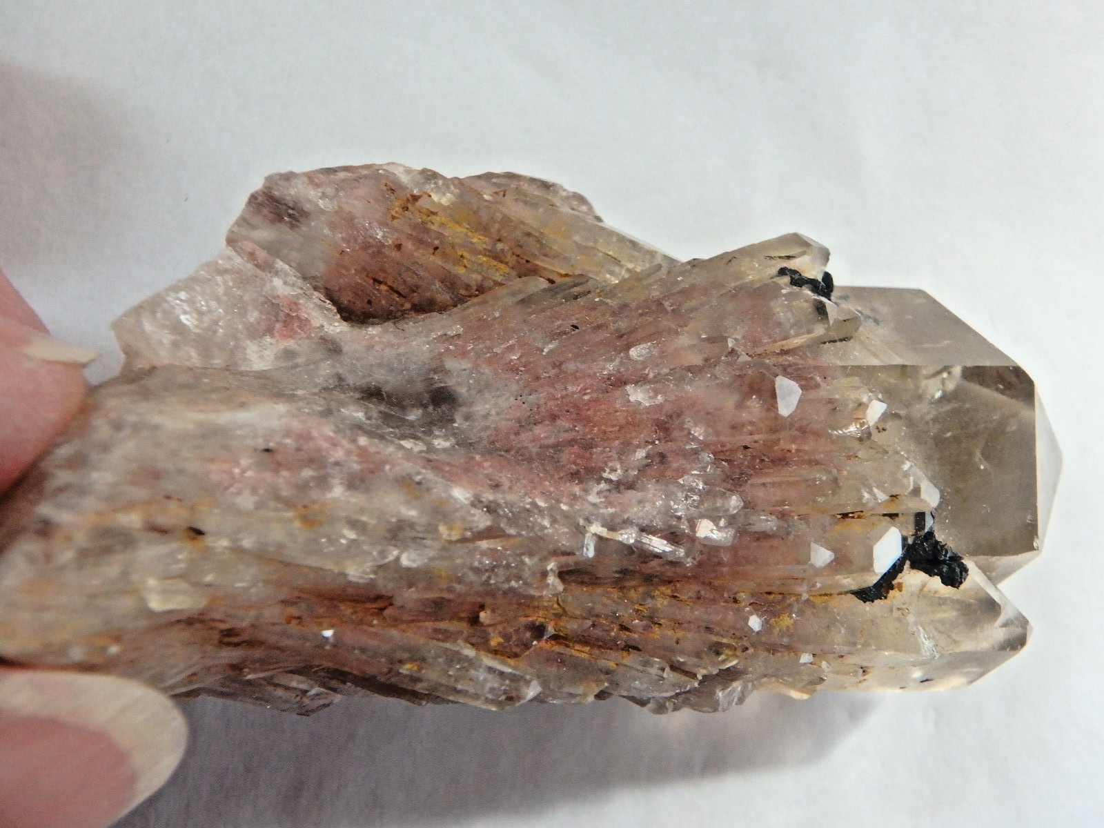 Crystal Kundalini Citrine Natural 52.5 grams Lots of Sparkle Phantom Congo