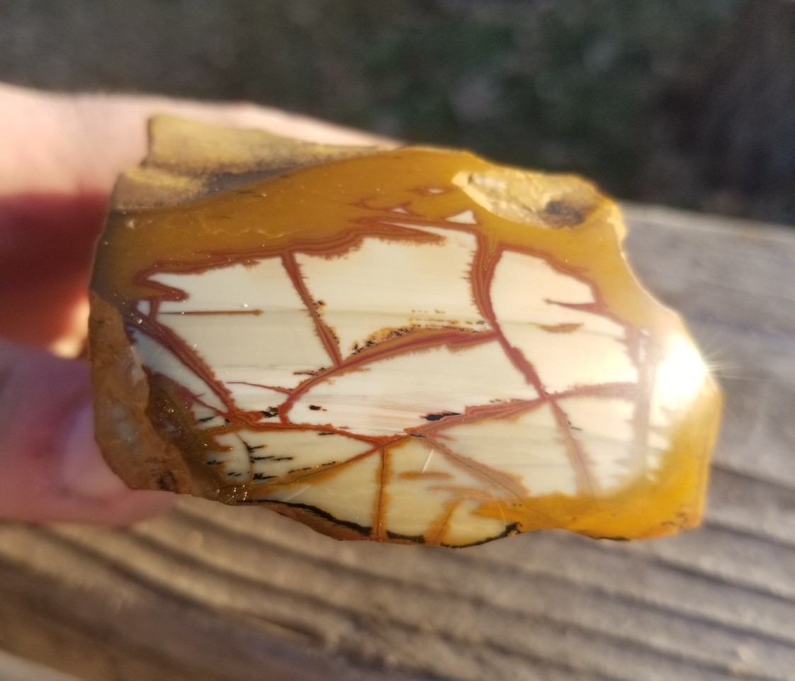 Nice End Polished Gem Grade Owyhee Picture Jasper Specimen 13.5oz Oregon Display