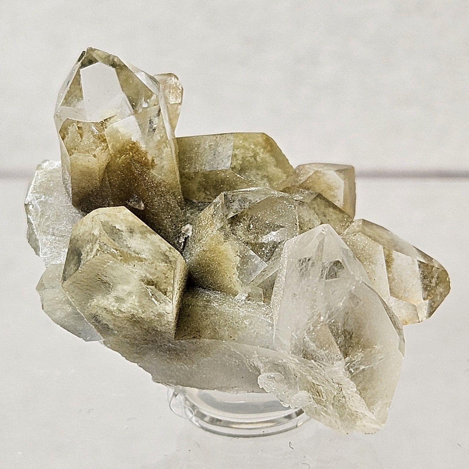 Natural Green Chlorite Included Quartz Cluster Specimen Garden Quartz U.S Seller
