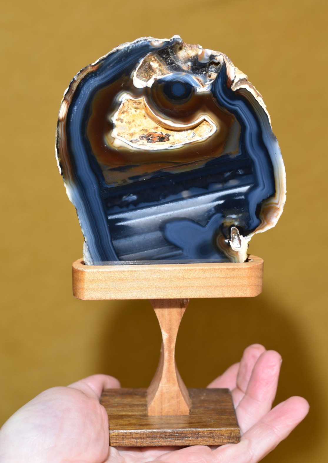 Stunning Polished Brazilian Agate End W/ Handmade Elegant Wood Display Stand
