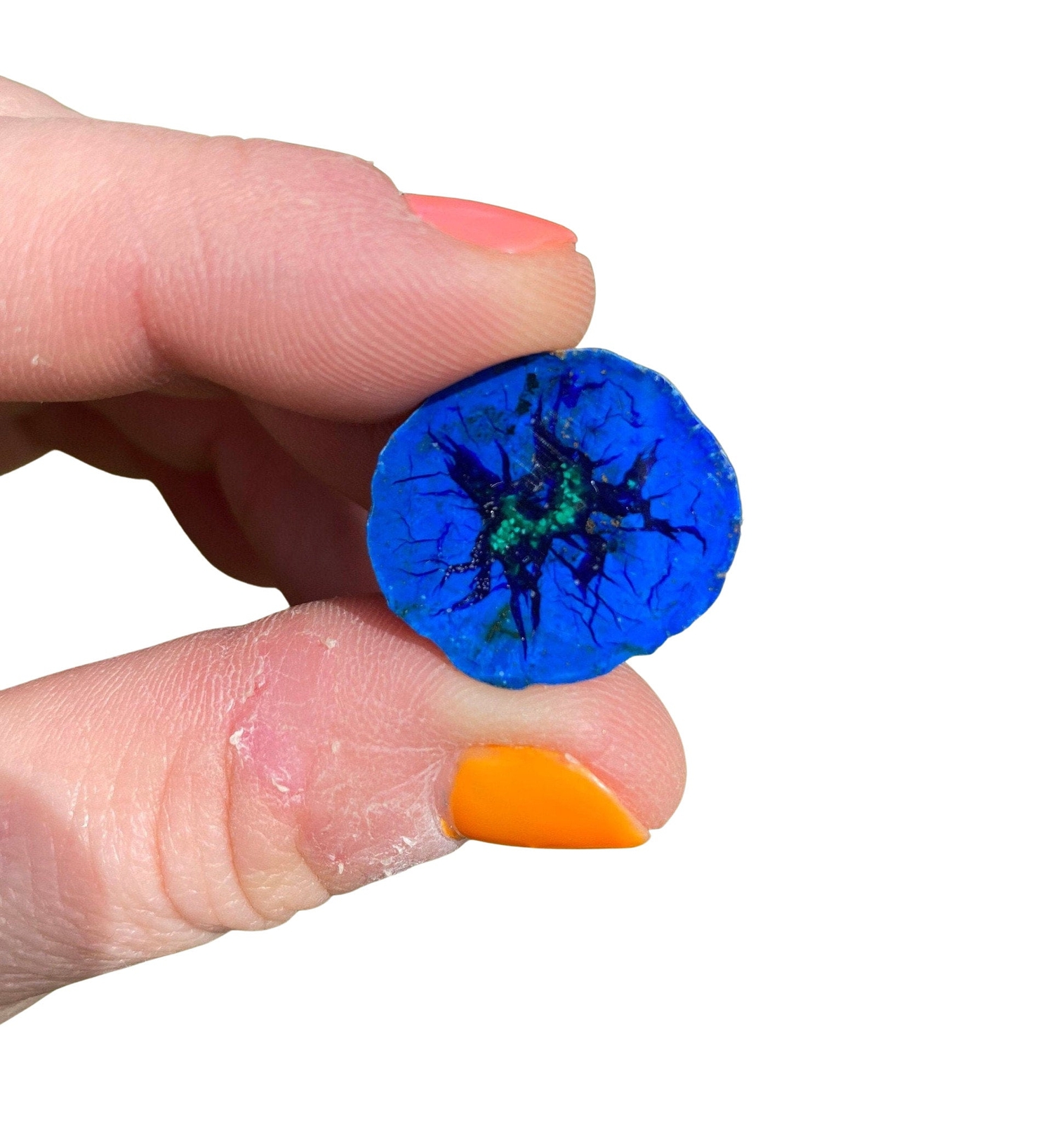 Azurite & Malachite Blueberry (Half Polished) from Poteryaevskoe Mine, Siberia
