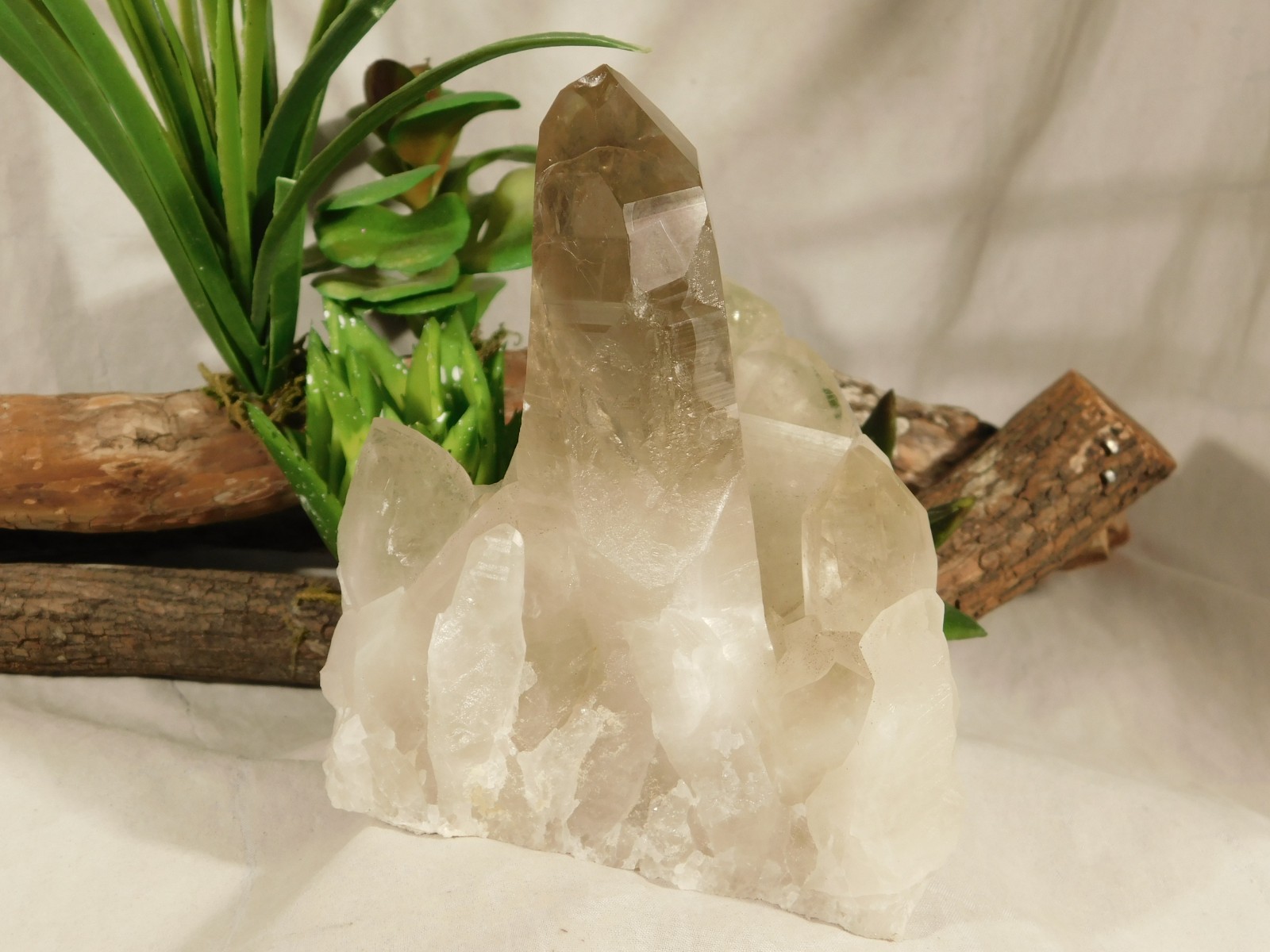 BIG! Free Standing! SMOKY Quartz Crystal Cluster From Brazil 792gr