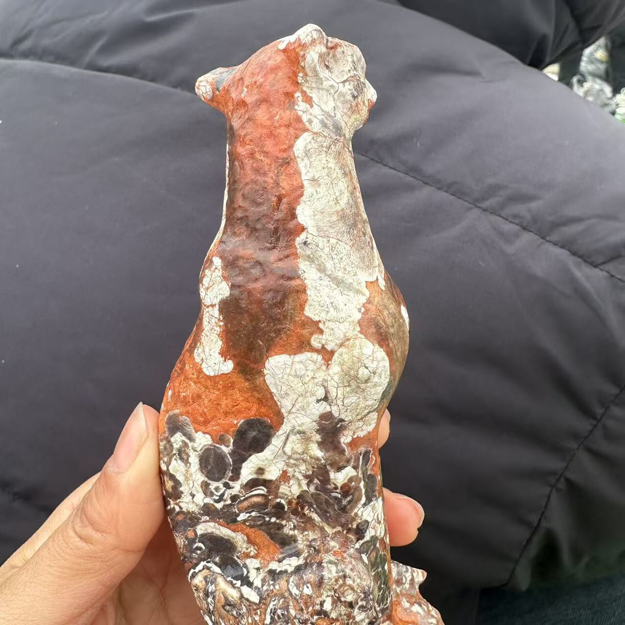 1pc Natural Money agate Quartz Carved Leopard Skull Crystal Reiki Healing Decor