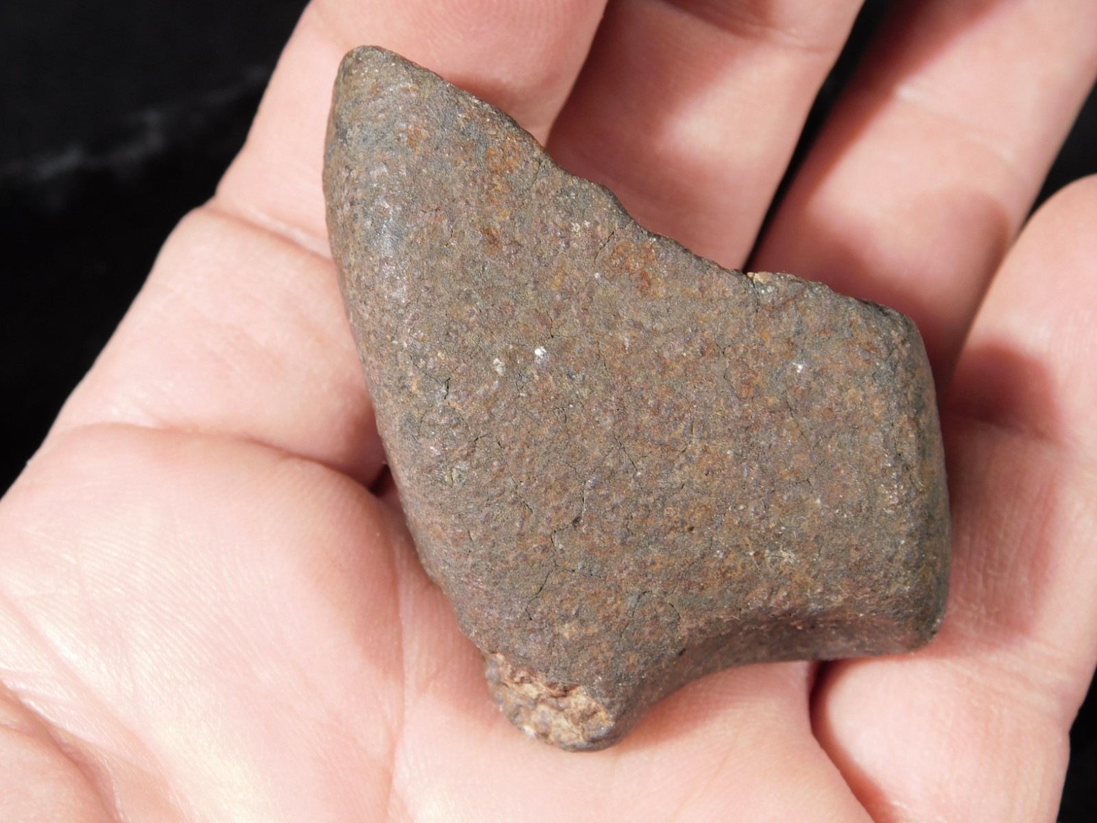 Stony N.W.A. METEORITE 100% Natural FELL in Libya 98.4gr